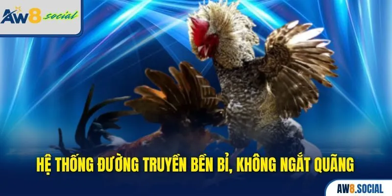 Đá Gà aw8 2 Hệ thống đường truyền bền bỉ, không ngắt quãng