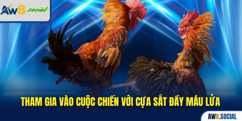 Đá Gà aw8 3 Tham gia vào cuộc chiến với cựa sắt đầy máu lửa